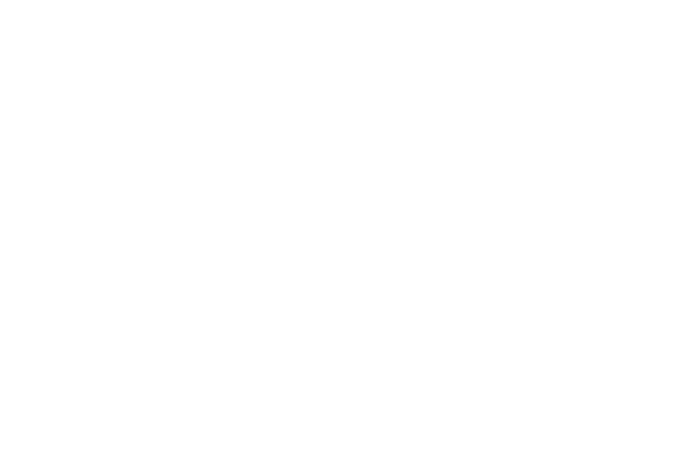 L2P CONVENTION